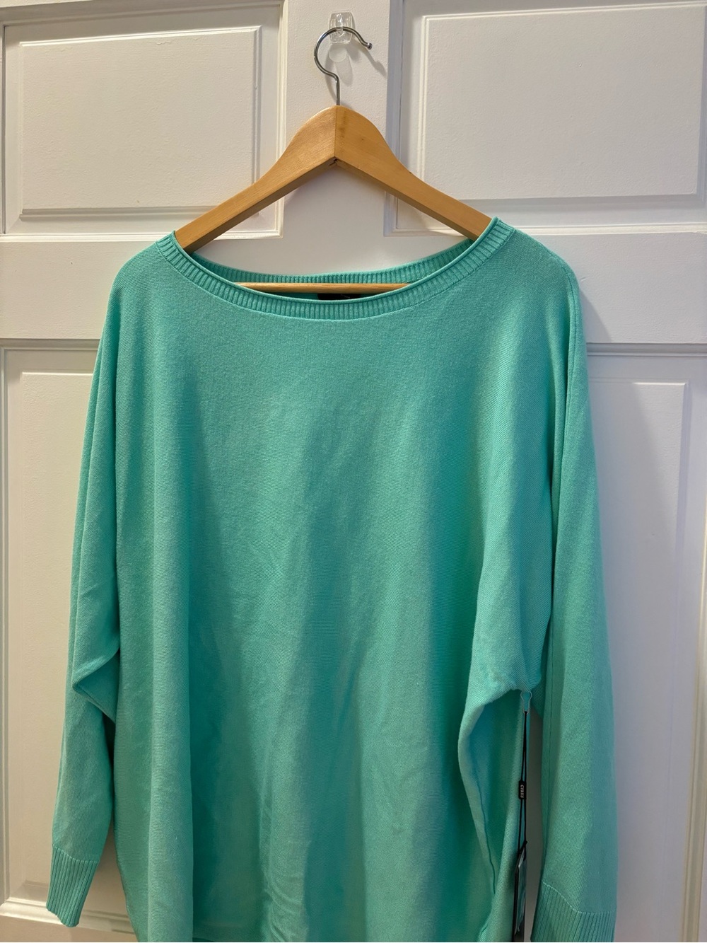 Cyrus Mint Teal Boatneck Sweatshirt